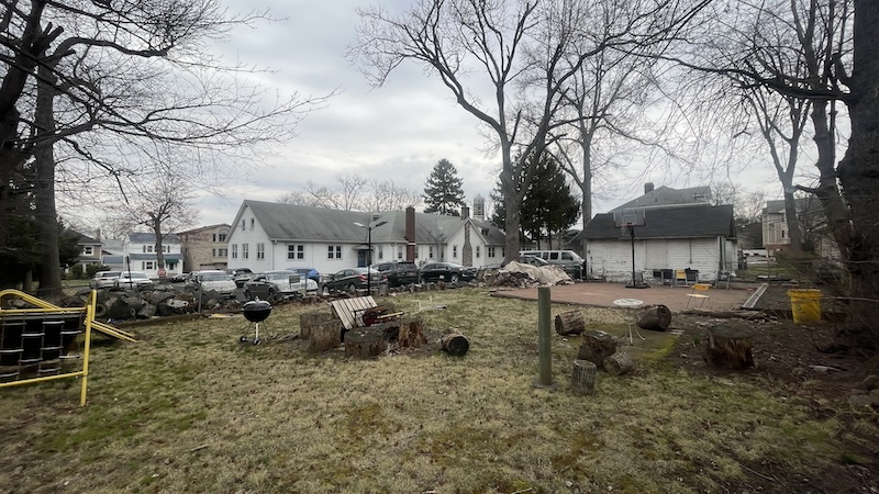 Overgrown and debris-filled yard